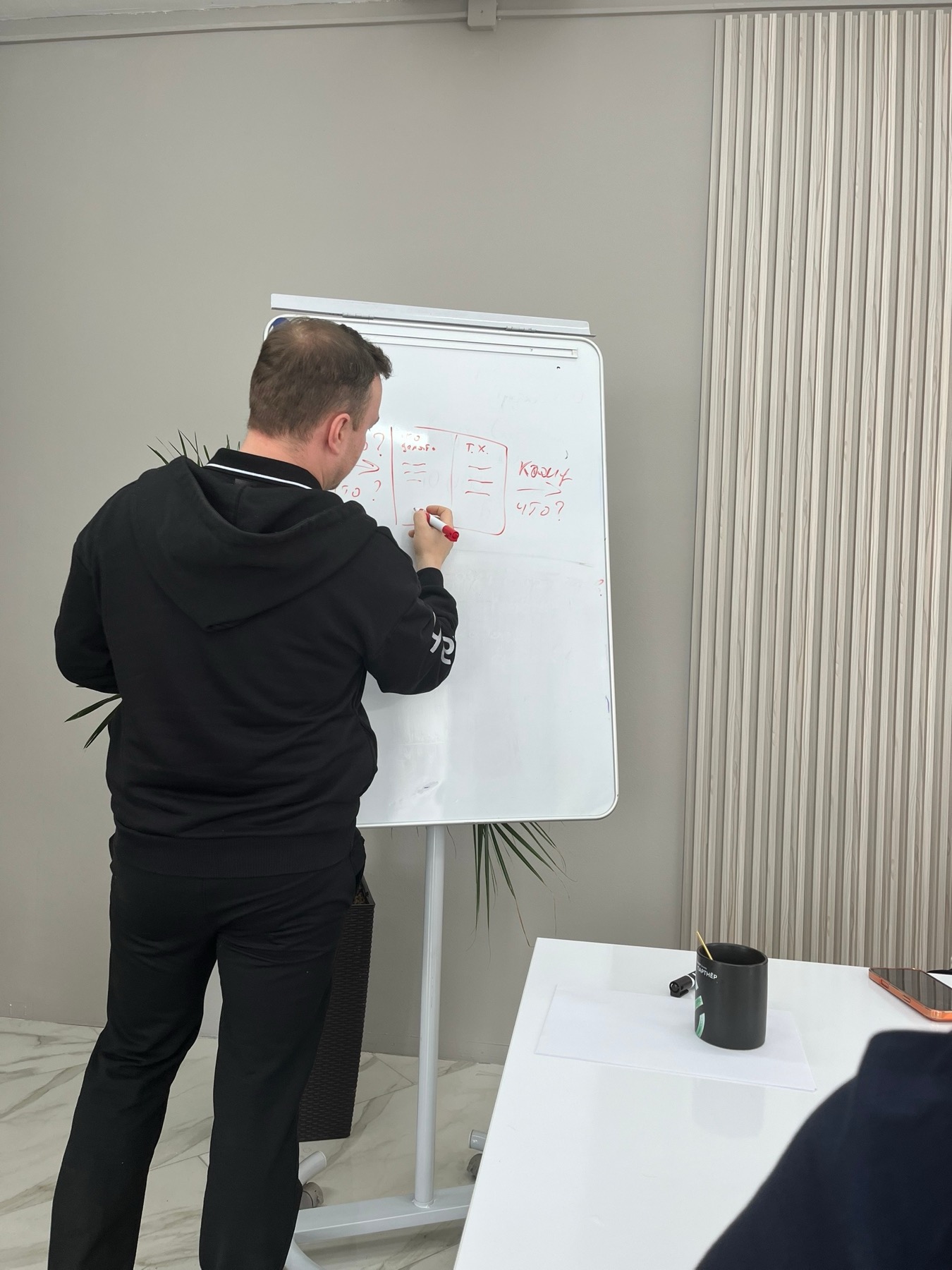 Руслан Ботис разбирает рабочую систему у доски